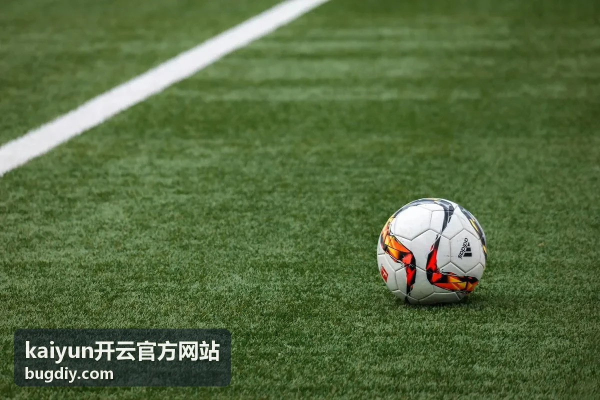 kaiyun开云官方网站观赛百科栏目关系示意
